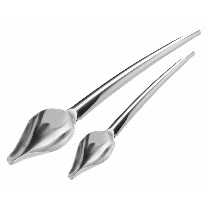 Cucchiaio Decorazione Set 2 Pz Inox