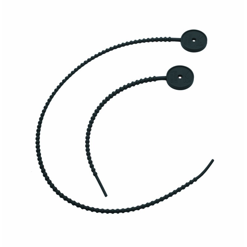 Laccetti